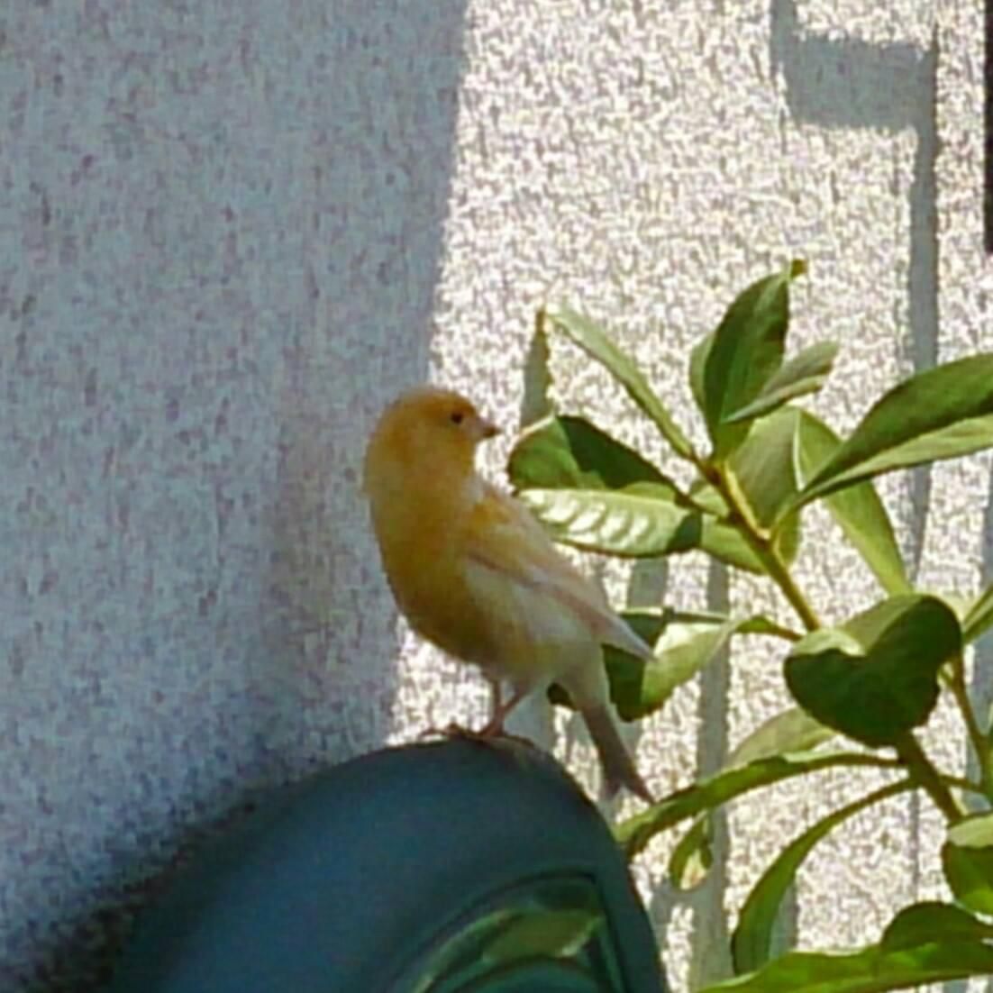 fehlt Bild von 
